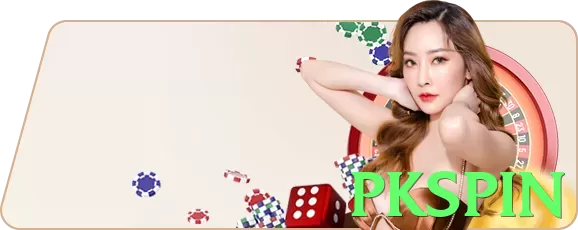 pkspin App - 5